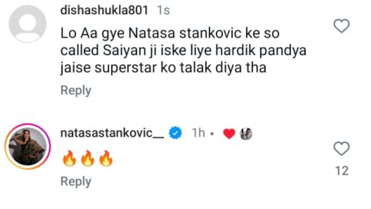 अलेक्जेंडर एलिक्स की पोस्ट पर यूजर ने किया कमेंट (photo credit: instagram/iamaleksandarilic)
